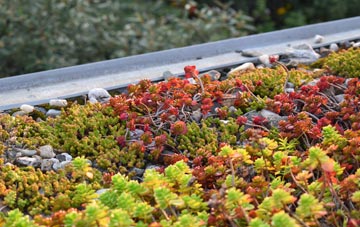 the cost of Dalton In Furness green roof installation