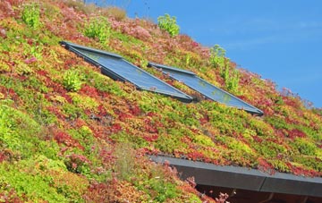 Dalton In Furness living roof systems